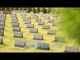 정성 들여 꾸며놓은 배우 송기윤 집안의 가족묘 [마이웨이] 67회 20171012