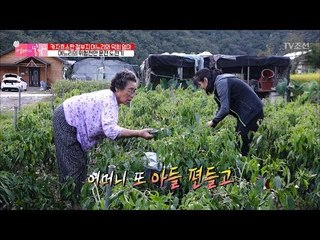 아들 편만 드는 시어머니에 속상한 며느리 [엄마의 봄날] 110회 20171015