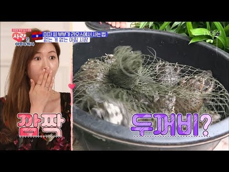 놀라움의 연속! 없는 게 없는 라오스의 모닝 시장! [사랑은 아무나 하나] 6회 20...