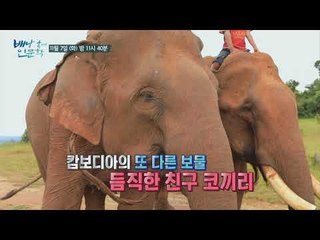 천년의 역사와 비밀 캄보디아를 가다_배낭 속에 인문학 22회 예고