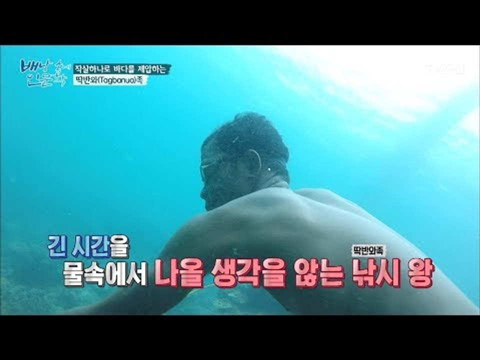 작살하나로 바다 사냥 마스터! ‘딱반와족’ [배낭 속에 인문학] 19회 20171017