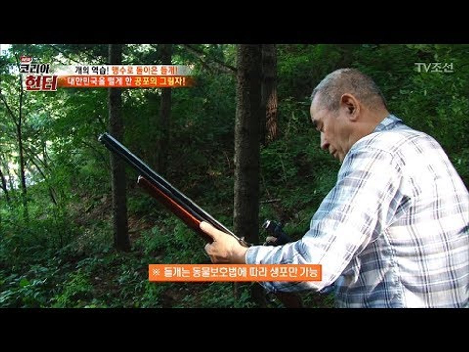 총으로 들개를 잡는다?! 들개를 잡는 헌터들! [뉴 코리아 헌터] 72회 20171016