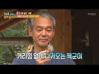 새와 이야기를 나누는 낭만적인 남자! [정보통 광화문 640] 72회 20171019
