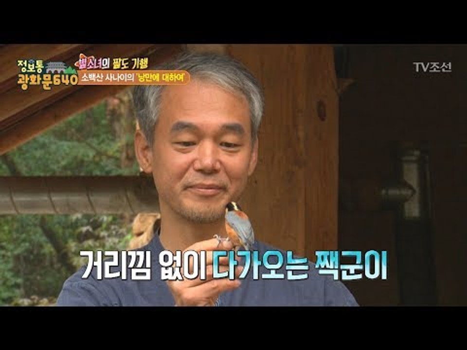 새와 이야기를 나누는 낭만적인 남자! [정보통 광화문 640] 72회 20171019