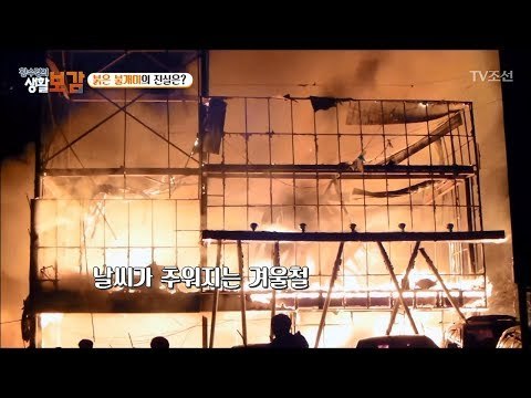 개미들로 인해 화재도 일어날 수 있다?! [황수경의 생활보감] 29회 20171021