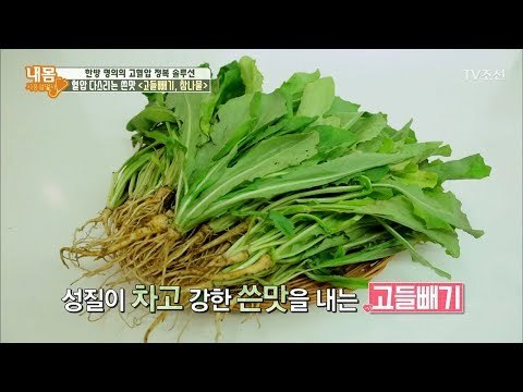 혈압 잡는 쓴맛! 고들빼기, 참나물 [내 몸 사용설명서] 175회 20171020