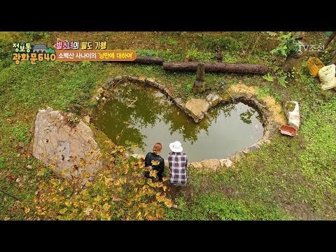 혼자서 만든 낭만 가득 하트 연못! [정보통 광화문 640] 72회 20171019