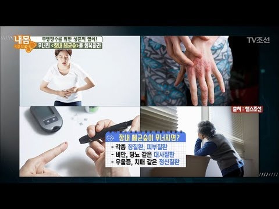 ‘장내 세균숲’이 무너지면 신체 노화가 빨라진다? [내 몸 사용설명서] 178회 20...