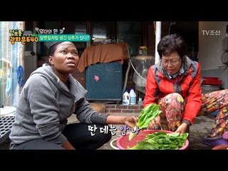 담배처럼 생긴 상추가 있다?! [정보통 광화문 640] 73회 20171020