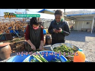 열무김치의 달인에게 배우는 열무김치 조리법! [정보통 광화문 640] 86회 20171124