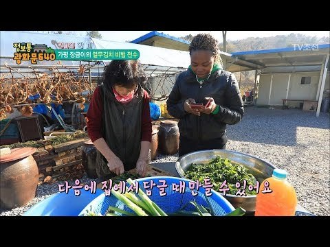 열무김치의 달인에게 배우는 열무김치 조리법! [정보통 광화문 640] 86회 20171124