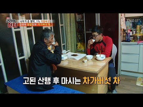 고된 산행 후 마시는 차가버섯 차! 그 맛은? [뉴 코리아 헌터] 76회 20171113