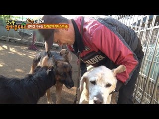 반려견 마스터! 약손으로 강아지를 치료하다! [정보통 광화문 640] 74회 20171026
