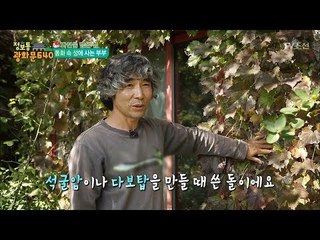 동화 같은 집에서 생활하는 부부가 있다?! [정보통 광화문 640] 76회 20171101