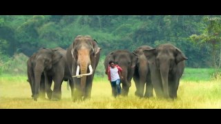 Junglee Official Trailer - Vidyut Jammwal, Pooja Sawant & Asha Bhat - Chuck Russell - 29th Mar 2019