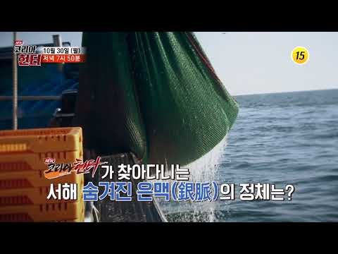 서해의 은빛 전쟁 500억 원을 사수하라!_코리아헌터 74회 예고