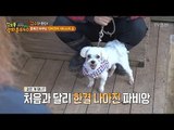 분리불안증 반려견을 치료하는 고수! [정보통 광화문 640] 74회 20171026