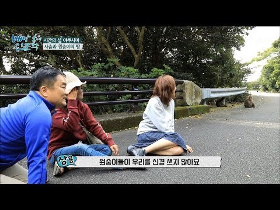 야쿠시마의 도로는 원숭이와 사슴의 휴식 공간?! [배낭 속에 인문학] 21회 2017...