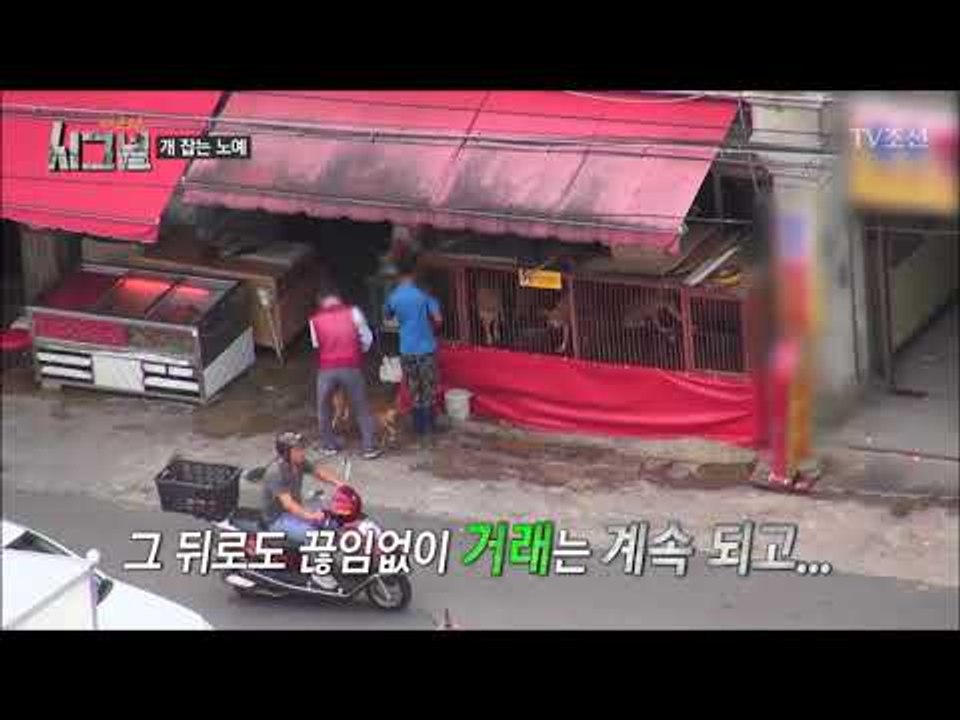 사람들이 보는 앞에서 개 해체를 하는 남자 [시그널] 1회 20171103