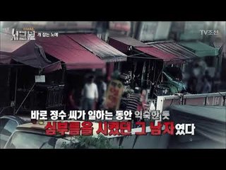 동물학대 영상의 주인공, 지적 장애가 있다? [시그널] 1회 20171103