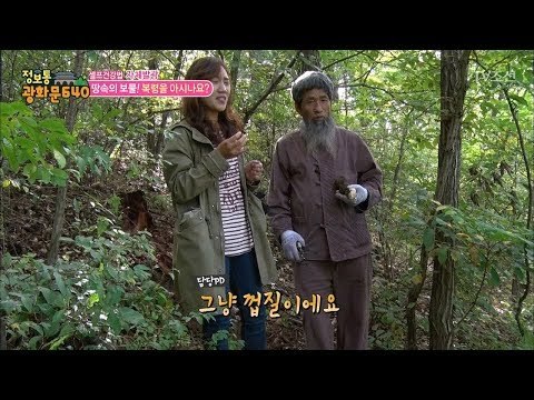 산의 보물이라고 불리는 복령! [정보통 광화문 640] 76회 20171101