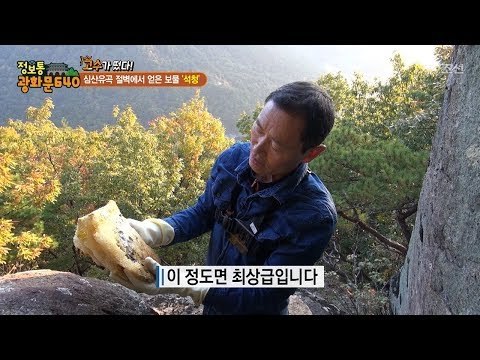드디어 얻은 최고급 석청! 과연 고수의 비법은?! [정보통 광화문 640] 77회 20171102