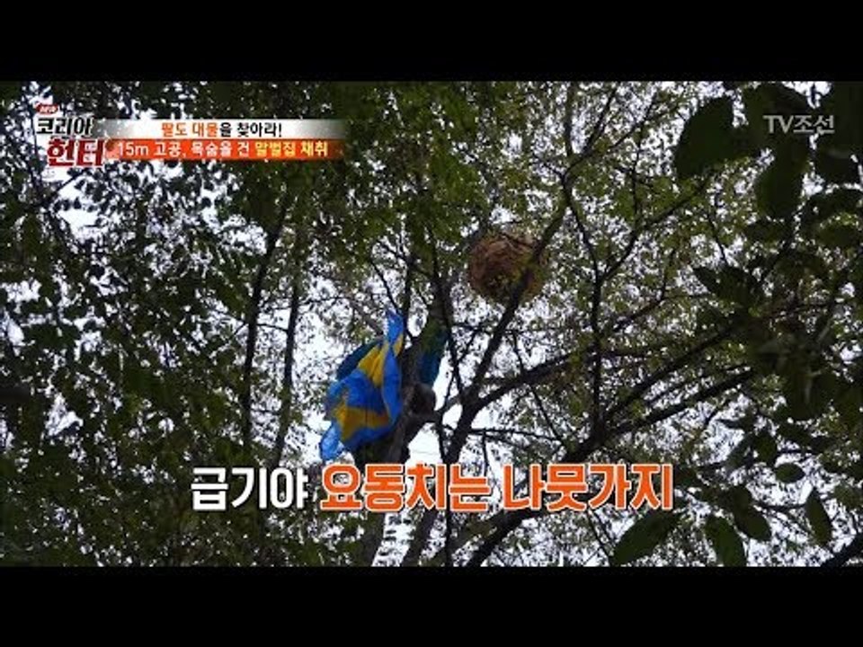 목숨 건 말벌집 채취! 결국 눈물을 보이는 아내 [뉴 코리아 헌터] 75회 20171106