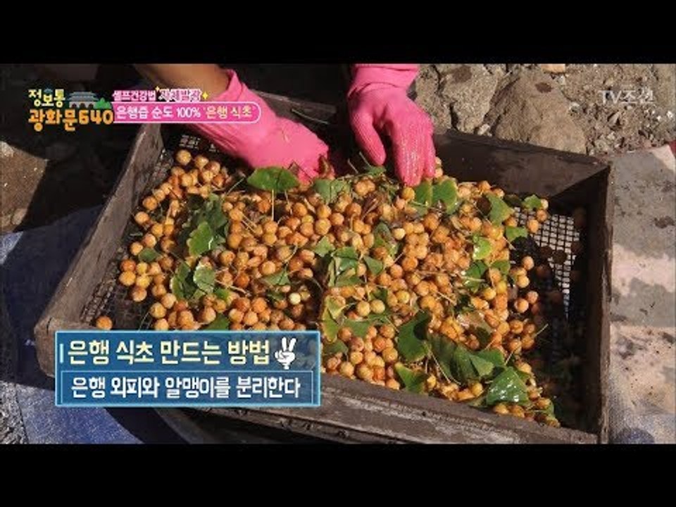 기관지 질환 극복! 은행즙 100% ‘은행 식초’ 만드는 법 [정보통 광화문 640]...