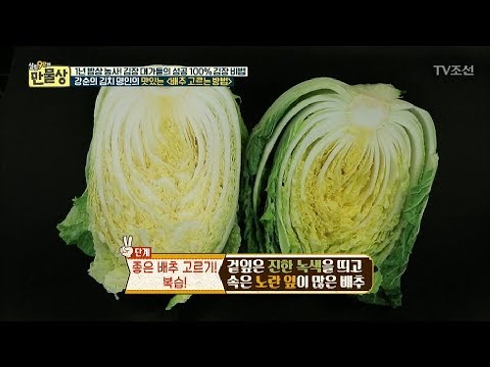 김장의 기초! 좋은 배추 고르는 법! [만물상 217회] 20171105