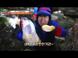 계곡 옆에 죽은 나무! 그곳에 오늘의 반찬이 있다?! [뉴 코리아 헌터] 75회 20171106