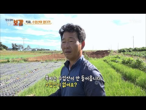 쪽파로 대박친 이유가 따로 있다?! [황수경의 생활보감] 34회 20171125