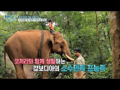 캄보디아 프농족은 왜 코끼리를 키우는 걸까? [배낭 속에 인문학] 22회 20171107