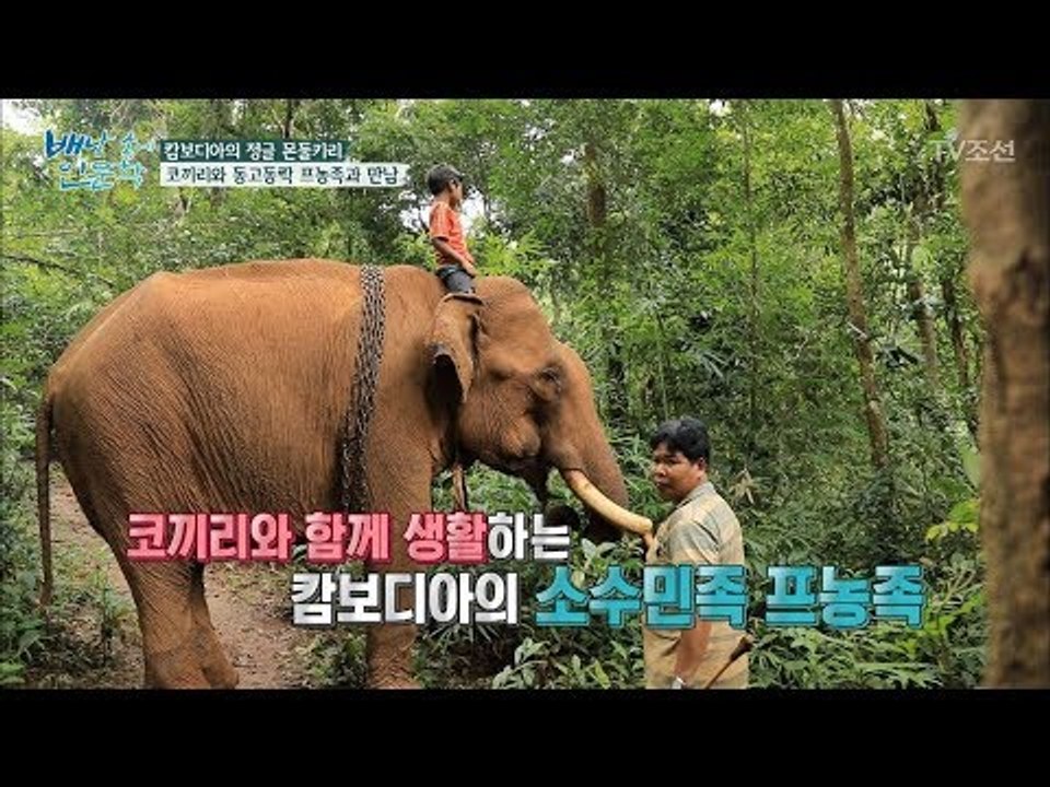 캄보디아 프농족은 왜 코끼리를 키우는 걸까? [배낭 속에 인문학] 22회 20171107