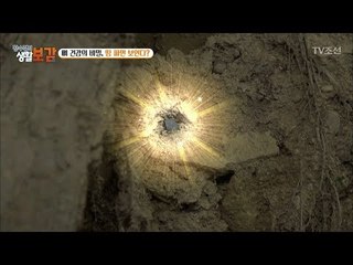 뼈 건강의 비밀을 알아버린 제작진! [황수경의 생활보감] 32회 20171111