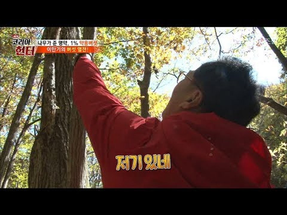 버섯을 발견한 이만기! 계속해서 버섯을 발견하는데? [뉴 코리아 헌터] 76회 201...