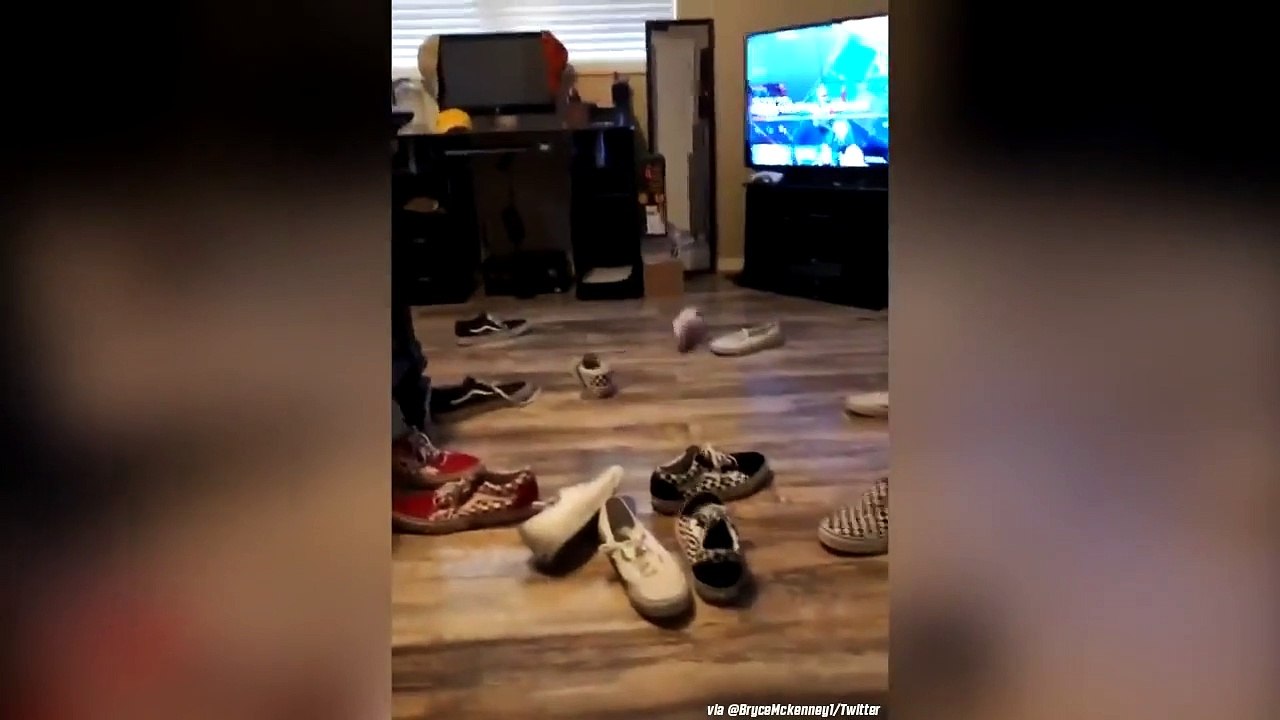 Jetez vos baskets Van's elles retombent toujours correctement au sol !