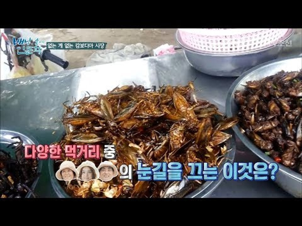 거미를 먹는다?! 요리된 곤충을 파는 캄보디아, 그 이유는? [배낭 속에 인문학] 2...
