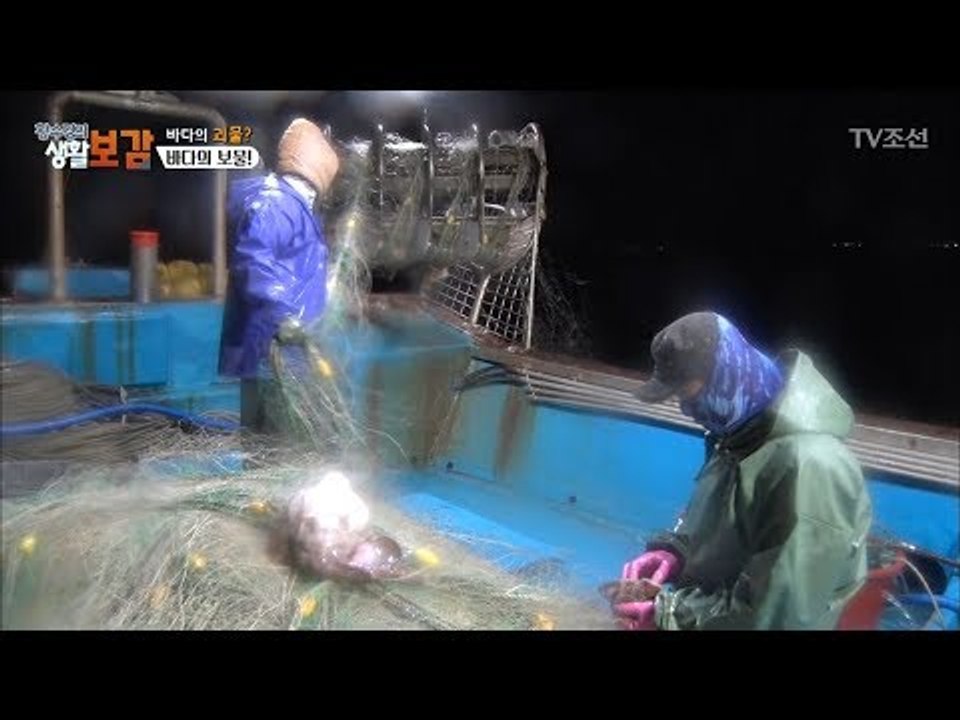 드디어 조업 끝! 과연 오늘의 조업양은? [황수경의 생활보감] 35회 20171202