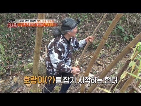 산 속 호랑이를 잡으러 나선 헌터! 그 정체는? [뉴 코리아 헌터] 77회 20171120