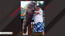 Man Reels In 'Monster' 98-Pound Grouper In Florida