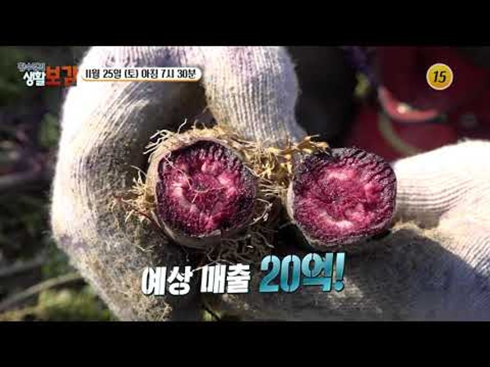 춤이 절로 나는 땅속 노다지의 비밀?!_황수경의 생활보감 34회 예고