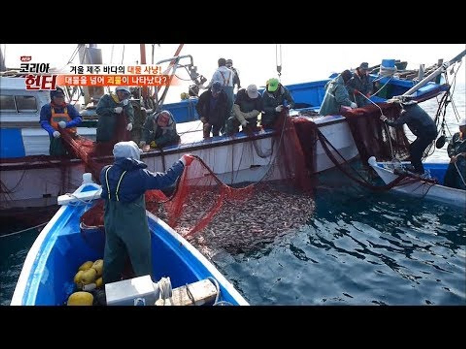 그 귀한 자리돔을 저렇게 잡아놓고 미끼로 쓴다?! [뉴 코리아 헌터] 78회 2017...