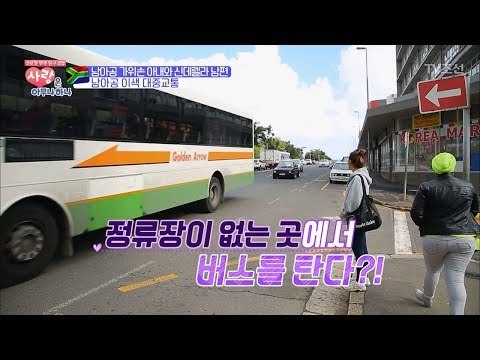 남아공의 이색버스! 정류장도 번호도 노선도 없다? [사랑은 아무나 하나] 12회 20171125