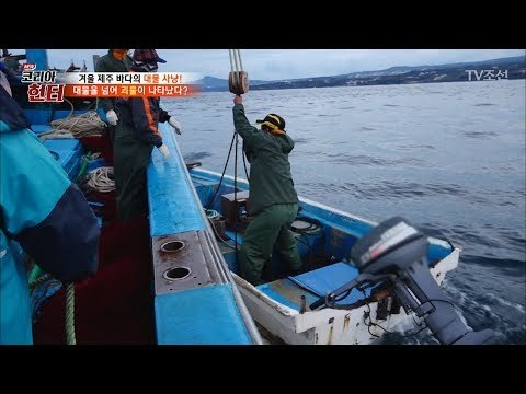 또 다른 대물을 찾아 나선 뉴 코리아 헌터팀! [뉴 코리아 헌터] 78회 20171127