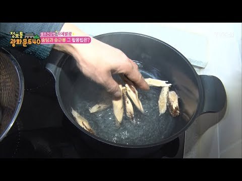 송담 활용법, ‘송담차’ 만드는 법! [정보통 광화문 640] 93회 20171213