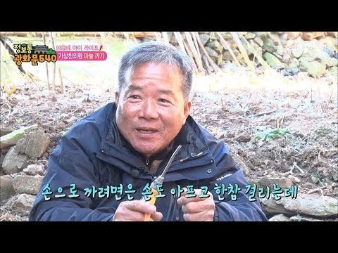 발상의 전환! 마늘까기에는 공기압축기! [정보통 광화문 640] 86회 20171124
