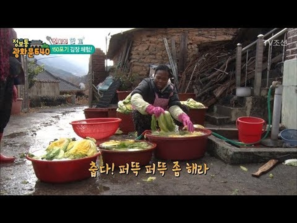 글라디스, 난생 처음 해보는 150포기 김장 체험! [정보통 광화문 640] 95회...