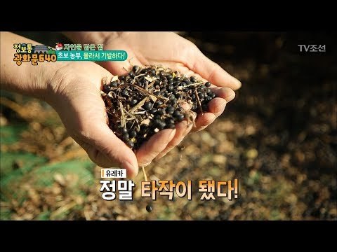 초보 농부! 모르니까 오히려 기발하다! [정보통 광화문 640] 87회 20171129