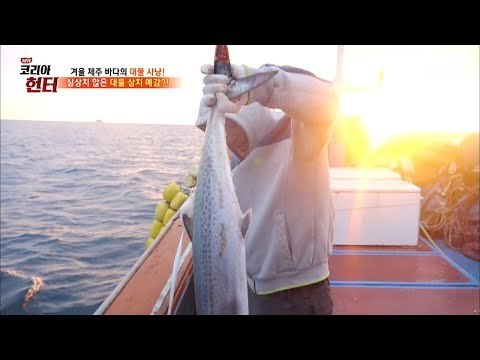 위험한 만큼 대물을 잡는 삼치 낚시! [뉴 코리아 헌터] 78회 20171127