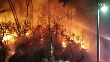 춘천 야산서 화재...20분 만에 진화 / YTN